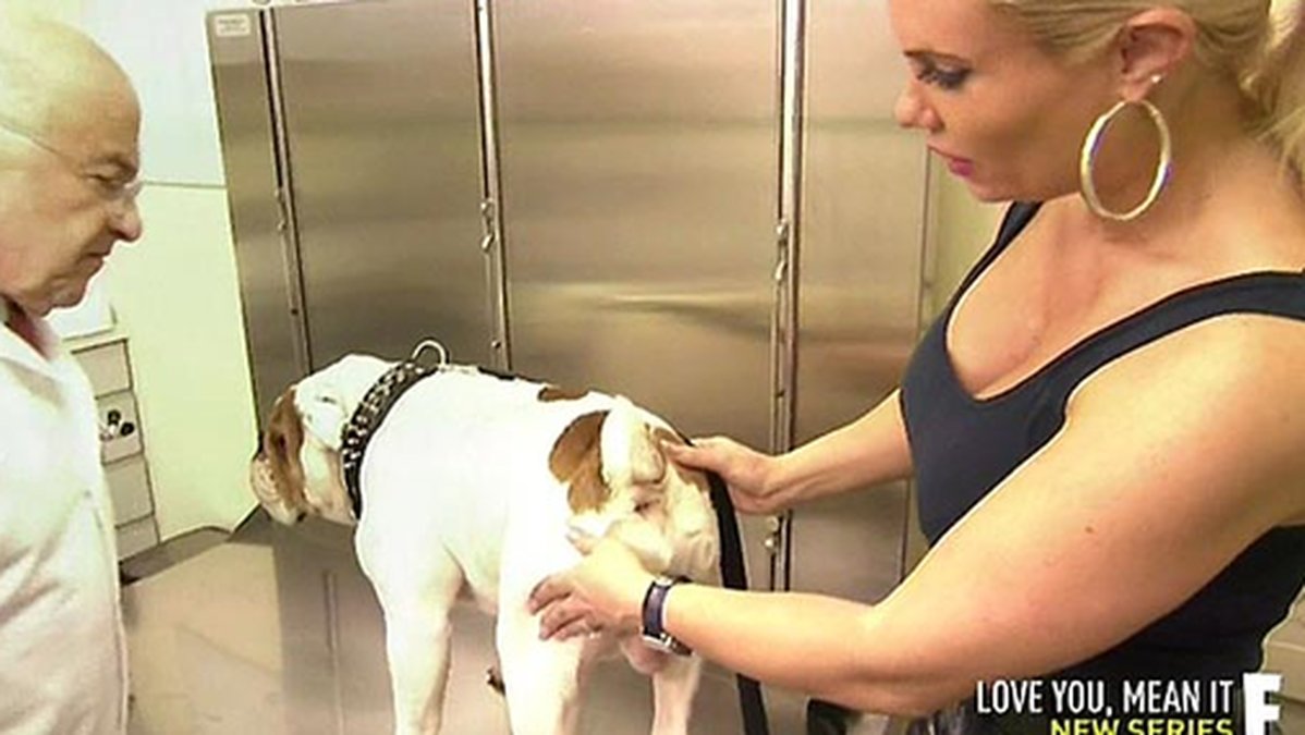 Coco tog med sig sina hundar till veterinären. 